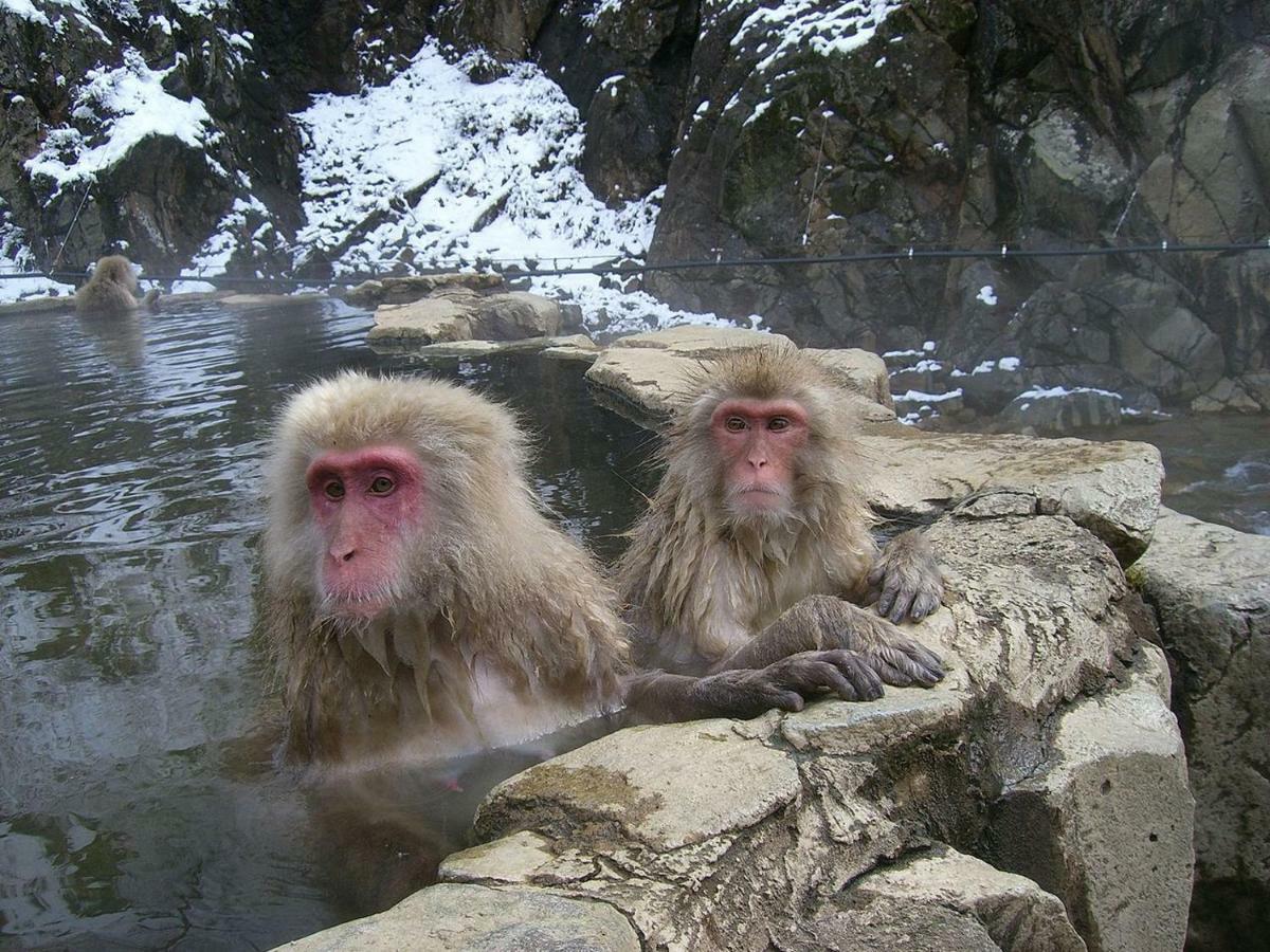 Lodge Jun Hakuba Eksteriør billede